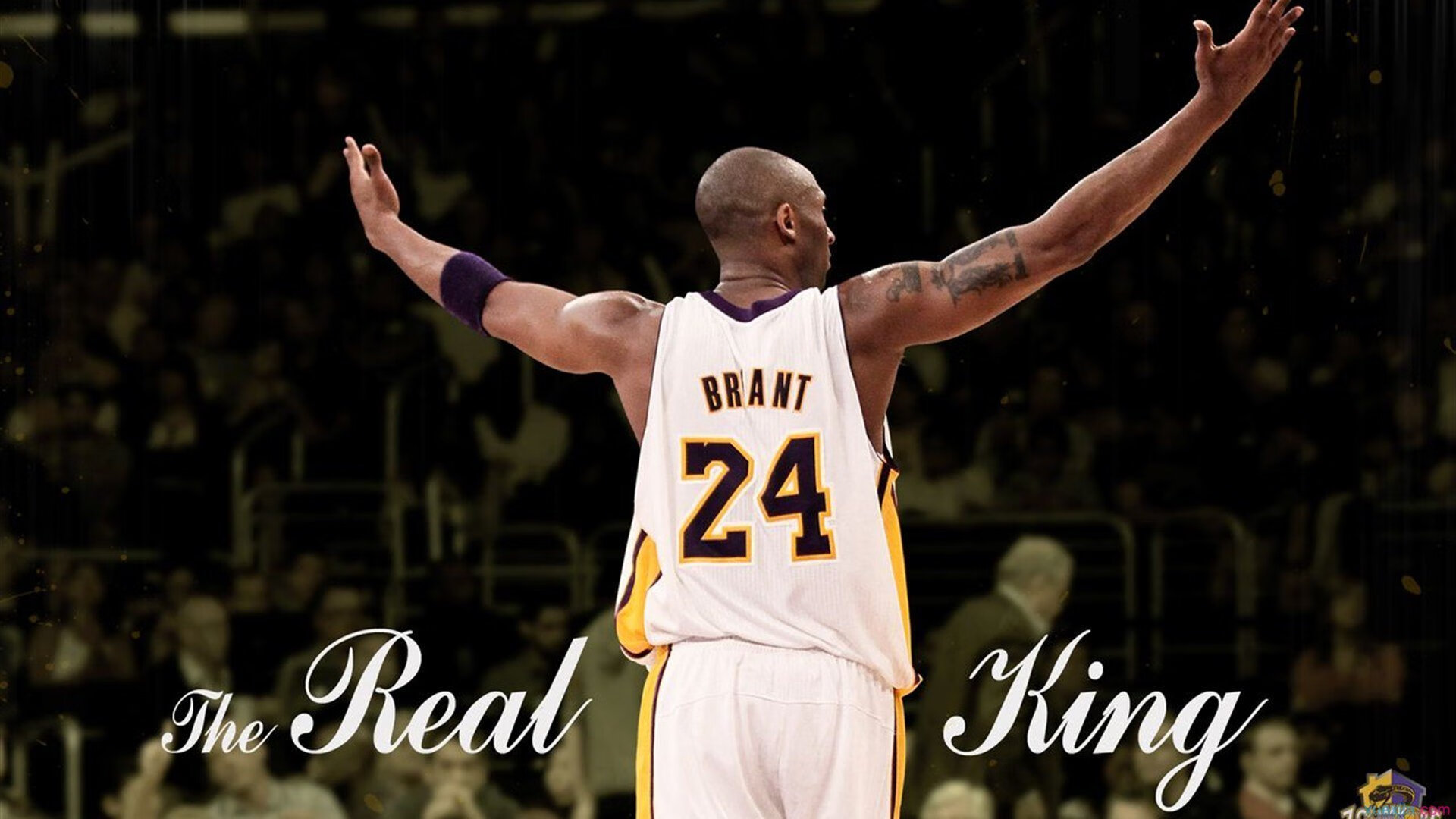 骑士末节带走国王,文班亚马成为关键先生,新星如何定义比赛